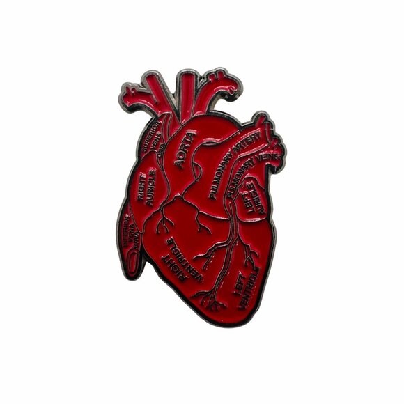 ❤️Anatomical Human Heart Enamel Pin Brooch Red Heart Organ Lapel Anatomy Lovers - Picture 4 of 5